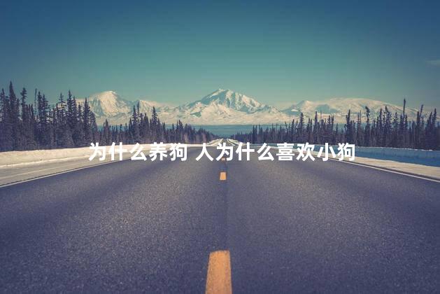 为什么养狗 人为什么喜欢小狗